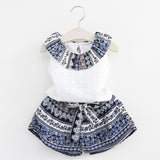 Bear Leader Girls Clothing Sets 2019 Summer Kids Clothes Floral Chiffon Halter+Embroidered Shorts Straw Children Clothing