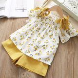 Bear Leader Girls Clothing Sets 2019 Summer Kids Clothes Floral Chiffon Halter+Embroidered Shorts Straw Children Clothing